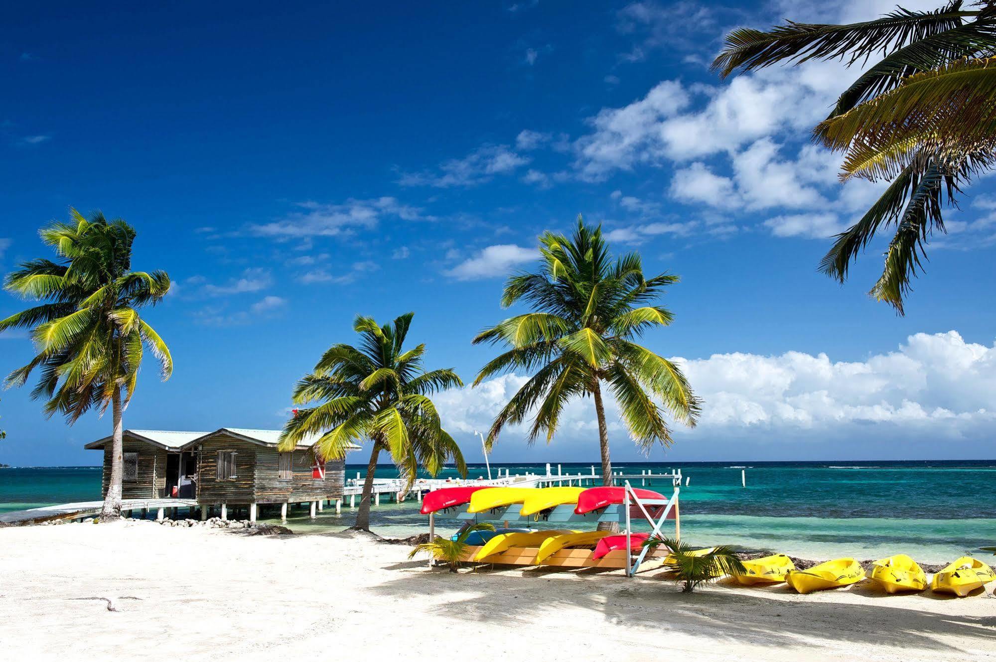 Blackbird Caye Resort Turneffe Atoll ภายนอก รูปภาพ