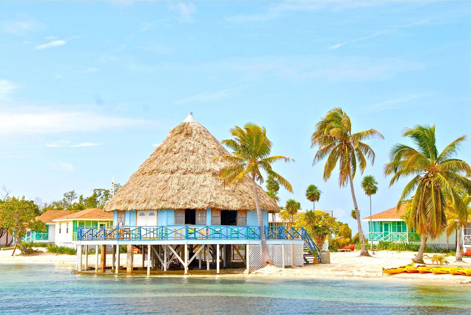 Blackbird Caye Resort Turneffe Atoll ภายนอก รูปภาพ