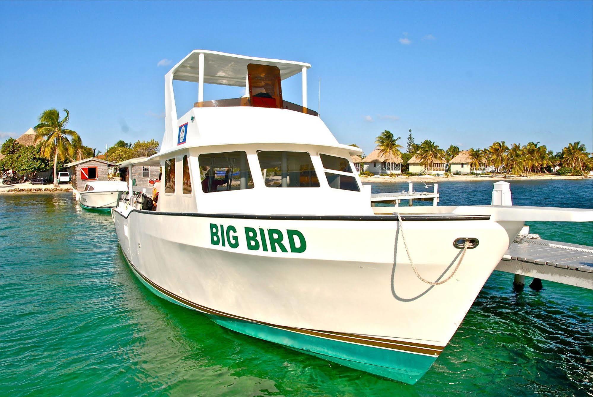 Blackbird Caye Resort Turneffe Atoll ภายนอก รูปภาพ