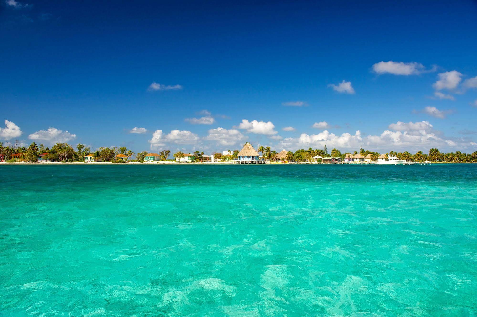 Blackbird Caye Resort Turneffe Atoll ภายนอก รูปภาพ