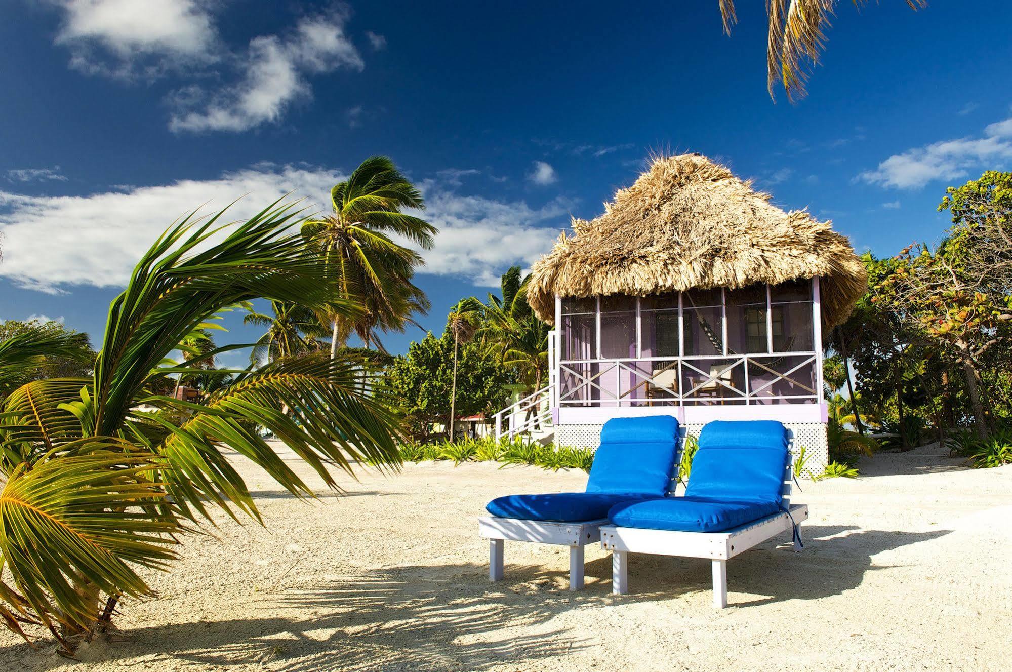 Blackbird Caye Resort Turneffe Atoll ภายนอก รูปภาพ